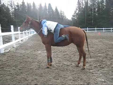 Petit video de ma soeur et son cheval