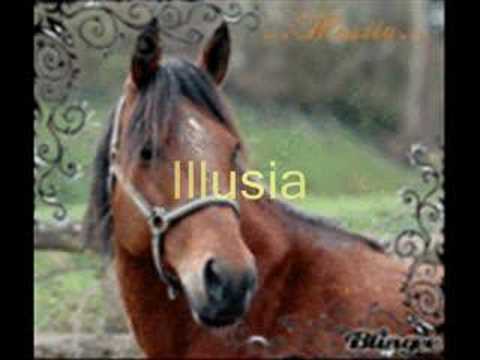 j'aime bien sourtout la fin......vie de cheval..