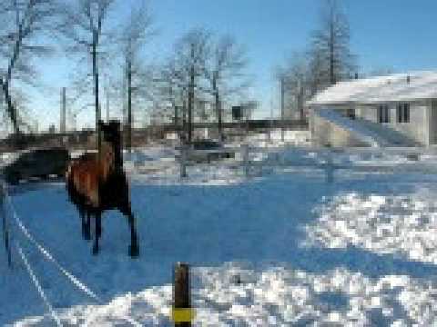 Mia qui se d&eacute;foule!!