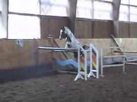 Super beau cheval j'adore ce paint !Impressionnant