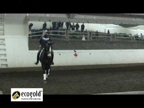 Maguin, niveau grand prix
