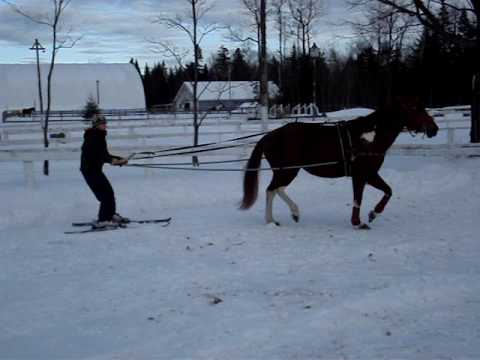 Ski joering, si quelqu'un peut m'aider &agrave; comprend ce qui est arriv&eacute;