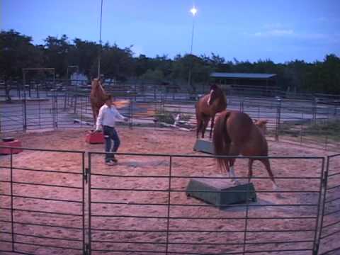 Imagine a Horse , de Allen Pogue. C'est vraiment impressionnant =o