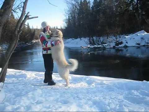 Premier video de freestyle 2010