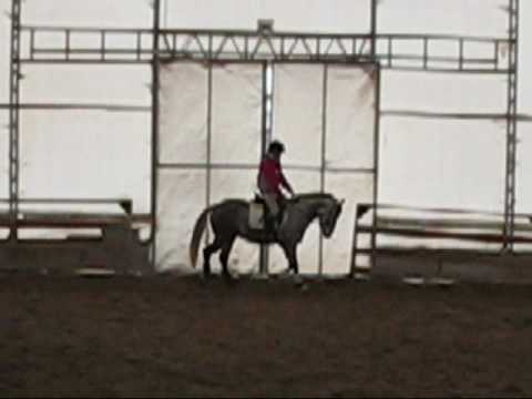 Le d&eacute;but de d&eacute;bloquage d'allongements de mon cheval! D&eacute;soler pour la qualit&eacute; et pour la musique qui fit pas.... C'est...