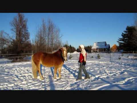 Ceci est un genre de documentaire. Peut-être que ça pourra aider certains car les vidéo de ce genre montre souvent un...