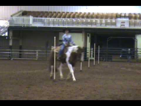 Ils ont fait du baril avec leur cheval de plaisance :P drole à voit!! C'est super par contre de voir qu'il essait pour...