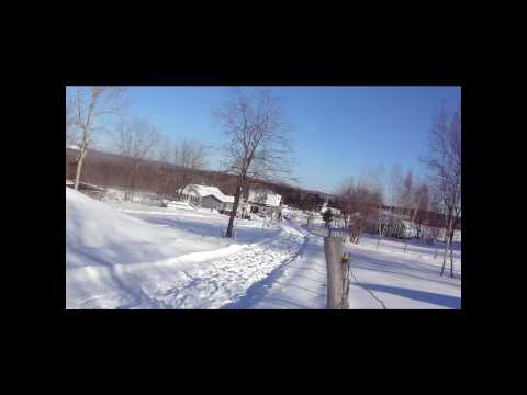 ski joering galop moi (en ski) et xcavaliax sur stacy!