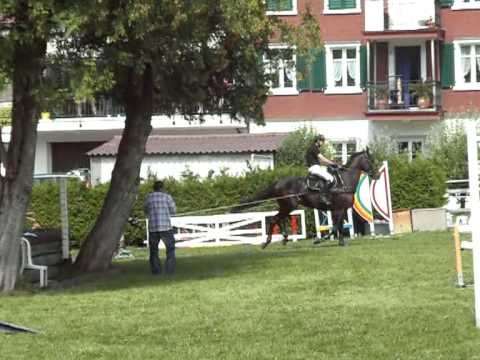 Roller + cheval = Kjoering = Sport Extreme!!